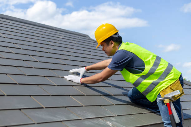 Best Roof Gutter Cleaning  in Bangor, MI