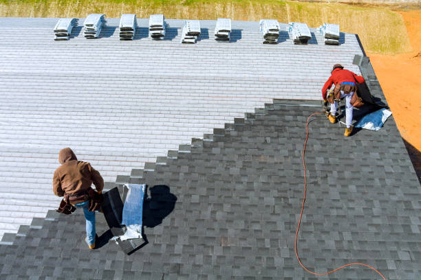 Best Roof Repair Services  in Bangor, MI
