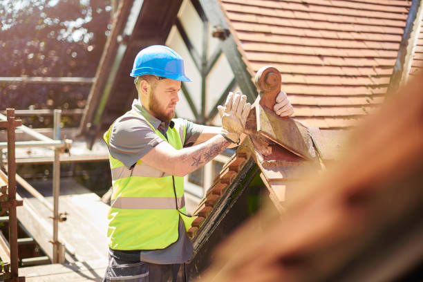 Best Roof Maintenance Services  in Bangor, MI